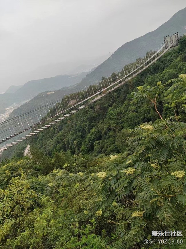 #我喜歡的攝影模式——自由拍