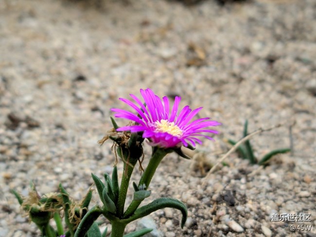 【那年初秋】綻放希望和喜悅