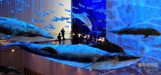 【長(zhǎng)焦距下的城市之美】穿越 | 遠(yuǎn)古