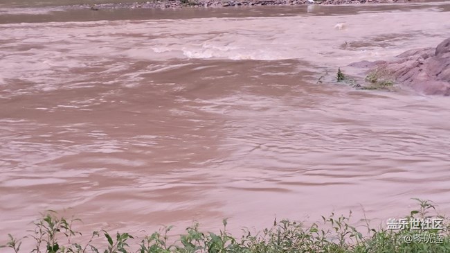 #我喜歡的攝影模式——3倍鏡