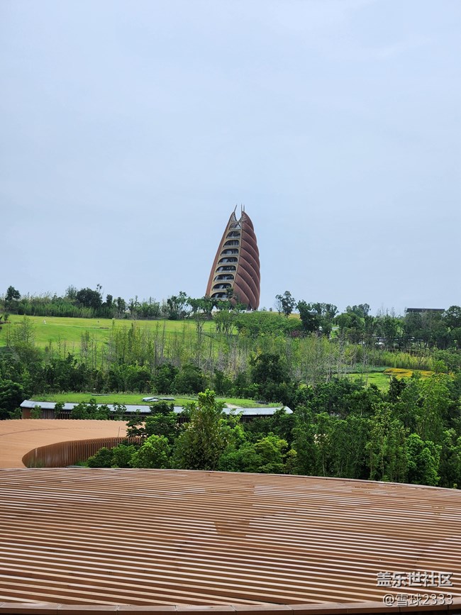 線下攝影活動(dòng)回顧貼 - 熊貓基地拍“大貓”