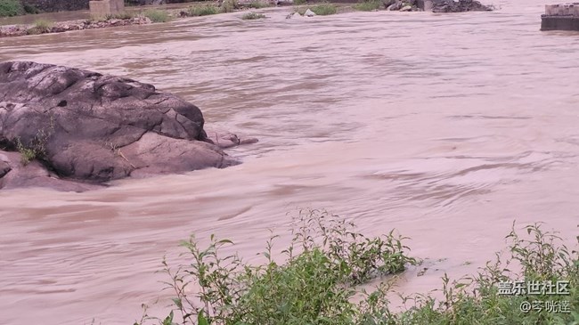 #我喜歡的攝影模式——3倍鏡