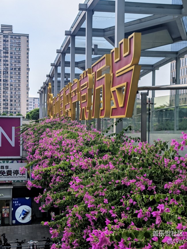 【捕捉夏日美好】微涼 | 溫暖