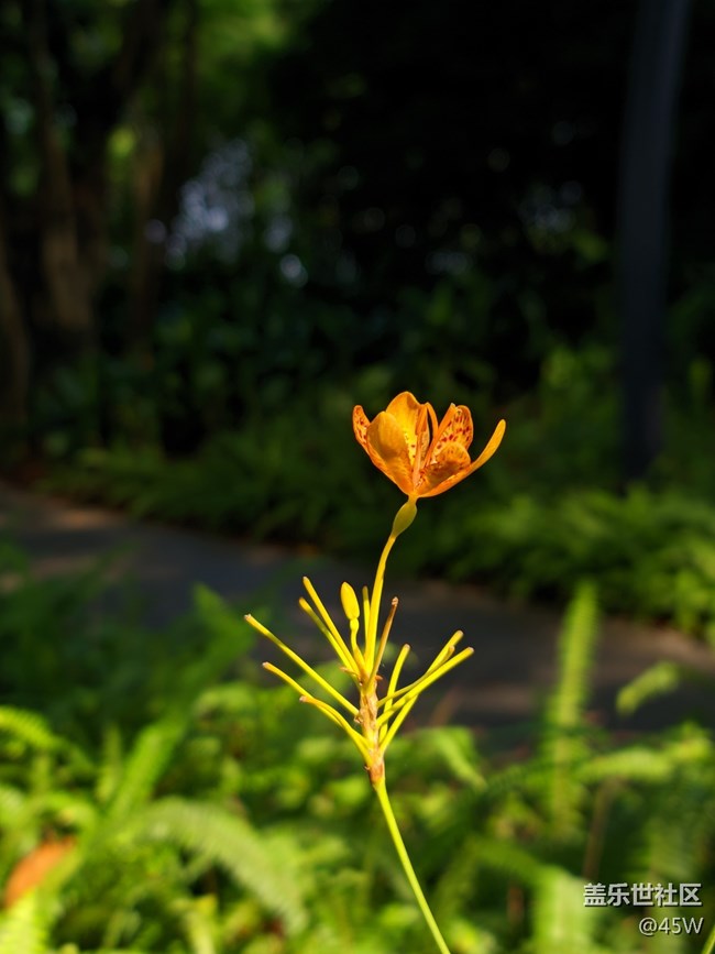 【捕捉夏日美好】微涼 | 溫暖