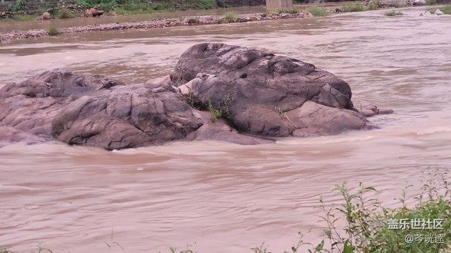 #我喜歡的攝影模式——3倍鏡