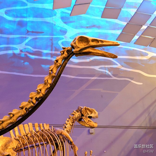 【長(zhǎng)焦距下的城市之美】穿越 | 遠(yuǎn)古