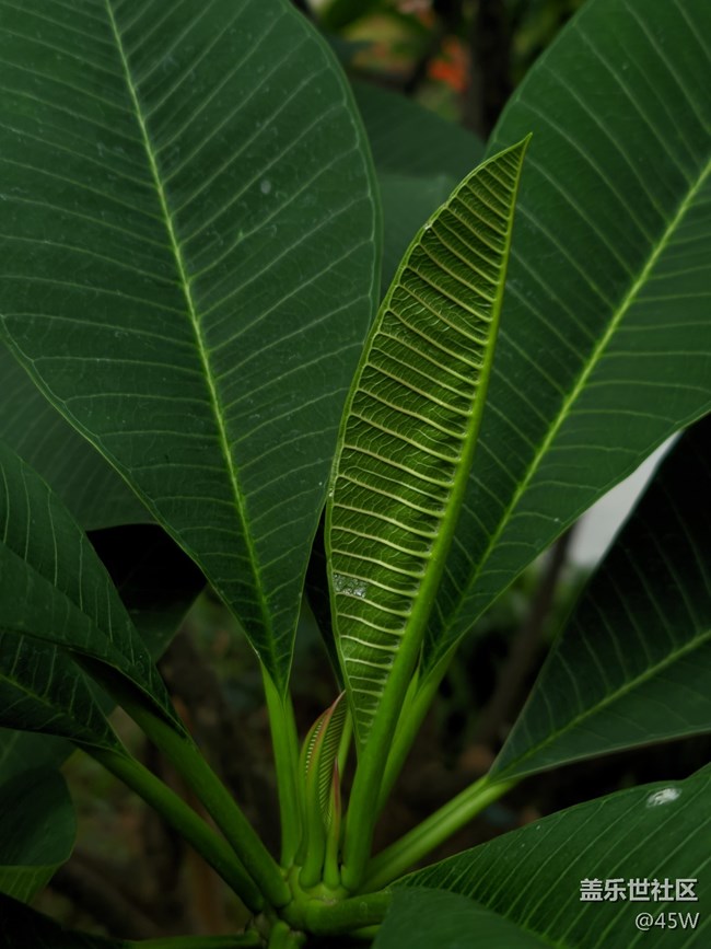 【捕捉夏日美好】微涼 | 溫暖