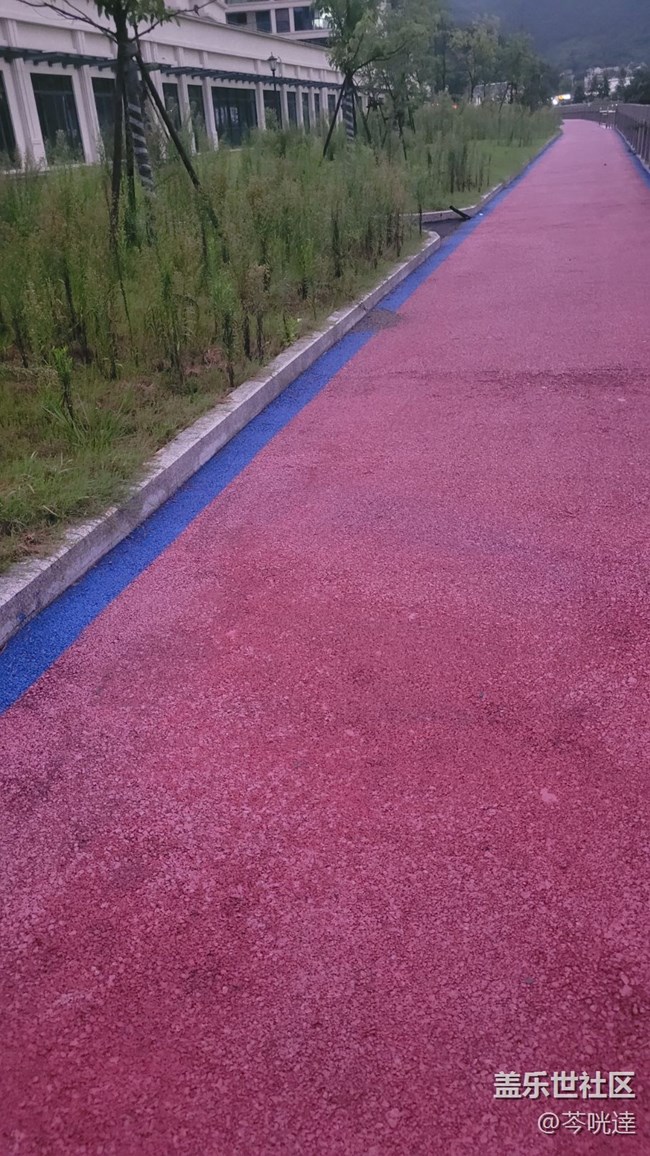 【街景】小區(qū)外道