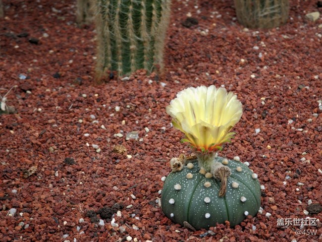 【那年初秋】綻放希望和喜悅