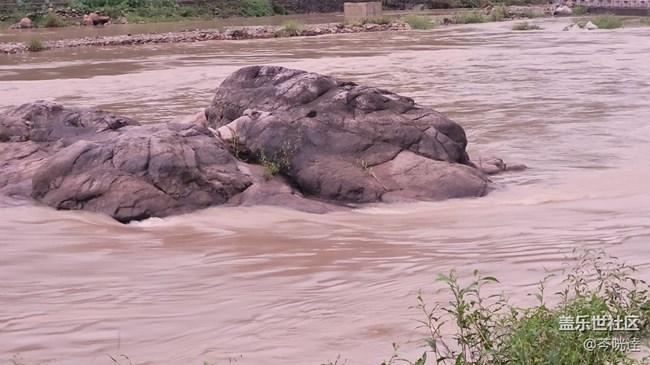 #我喜歡的攝影模式——3倍鏡