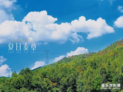 影子向玫瑰獻(xiàn)忱，落日與夕陽(yáng)輕撫遲暮。