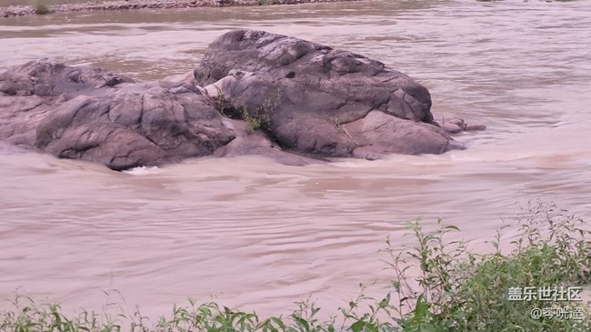 #我喜歡的攝影模式——3倍鏡