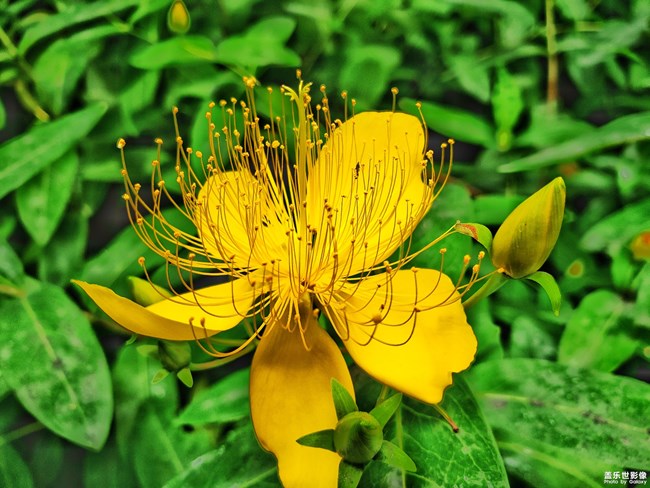 《精品大咖秀》 第十二期：最美初秋