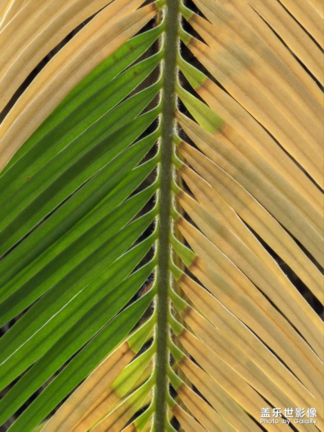 《精品大咖秀》 第十二期：最美初秋