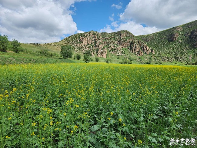 《精品大咖秀》 第十二期：最美初秋