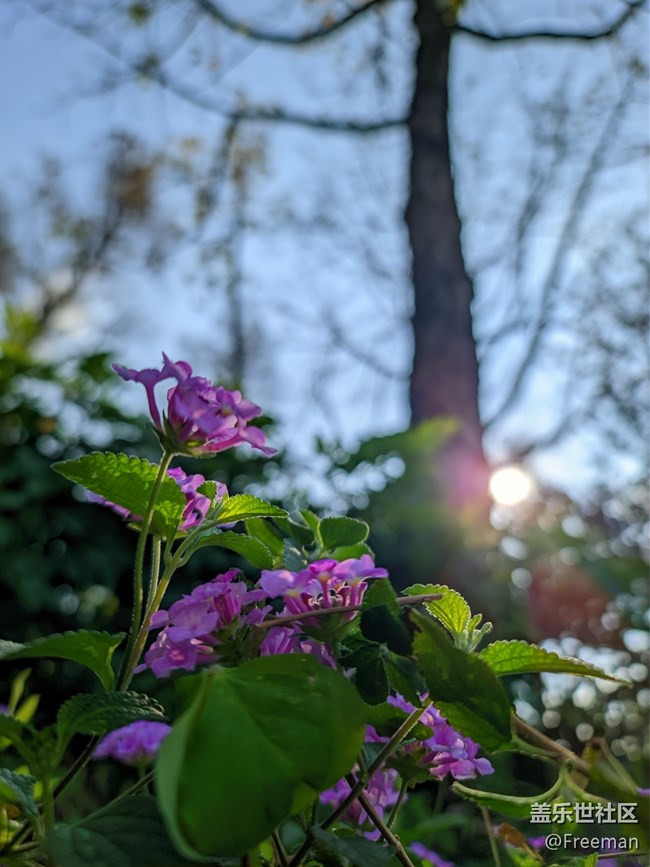 【那年初秋】漫步花海之間