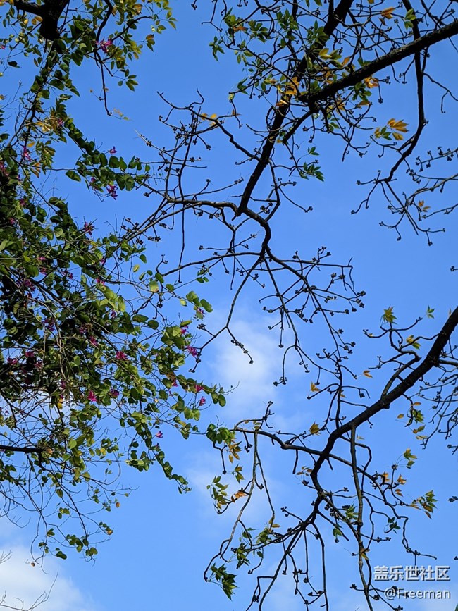 【那年初秋】漫步花海之間