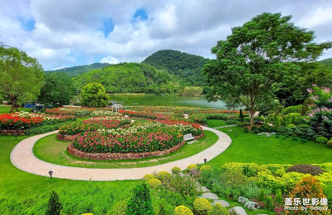 《精品大咖秀》 第十二期：最美初秋