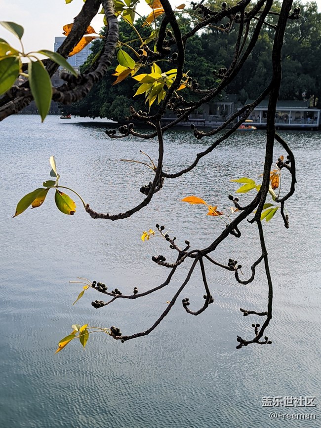 【那年初秋】漫步花海之間