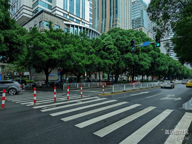 【那年初秋】郁郁蔥蔥 | 綠意盎然