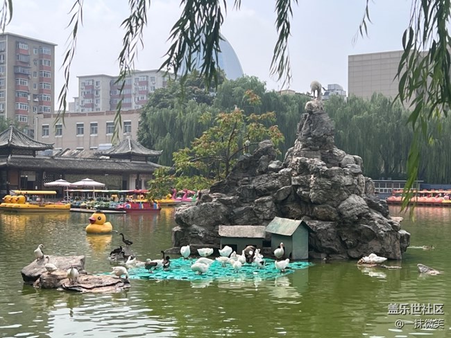 【尋一份美好】+悠閑