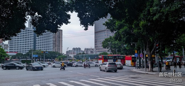 【那年初秋】郁郁蔥蔥 | 綠意盎然