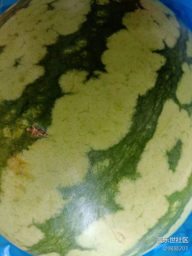 【捕捉夏日美好】水果