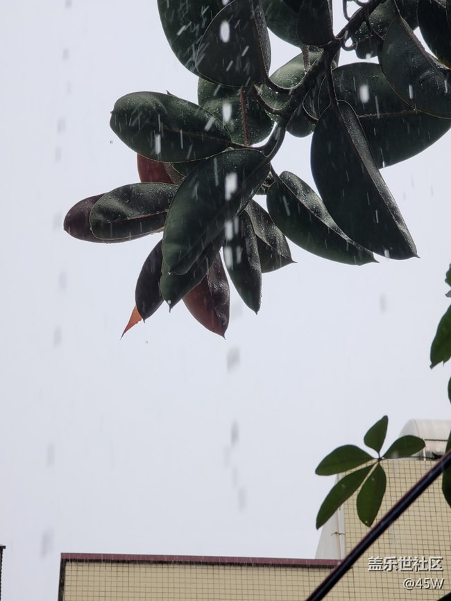 【會說話的照片】嘩啦啦的雨聲
