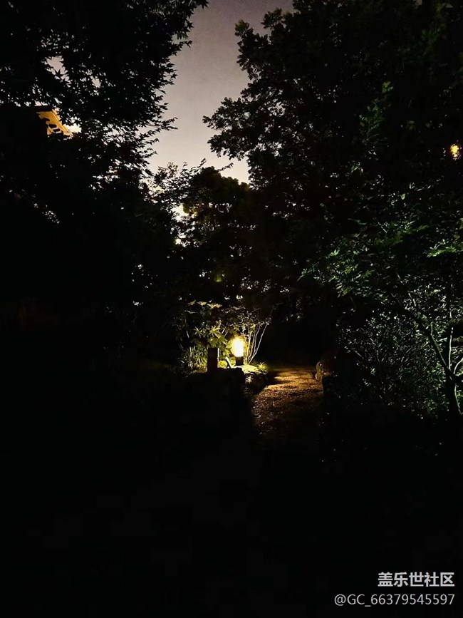 #我喜歡的攝影模式——夜景