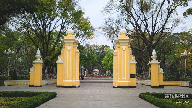 【捕捉夏日美好】夏天公園的快樂和活力