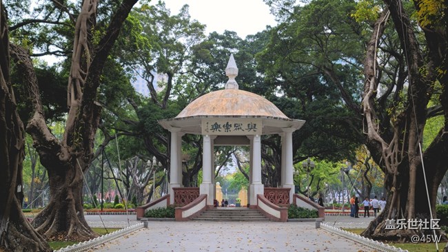 【捕捉夏日美好】夏天公園的快樂和活力