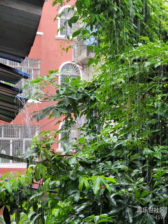 【會說話的照片】嘩啦啦的雨聲