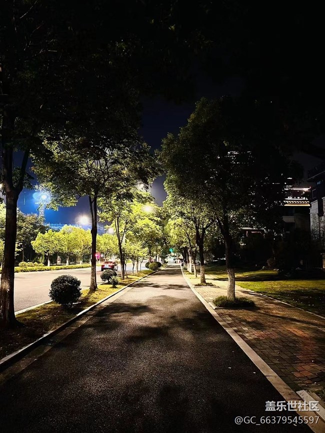 #我喜歡的攝影模式——夜景