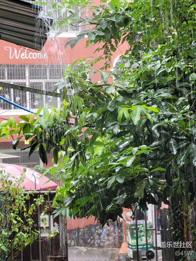 【會說話的照片】嘩啦啦的雨聲