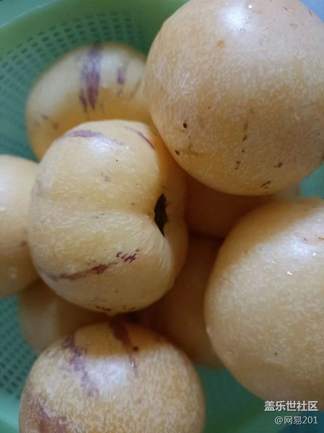 【捕捉夏日美好】水果