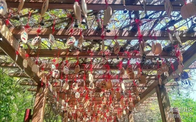 【那年初秋】又到周末