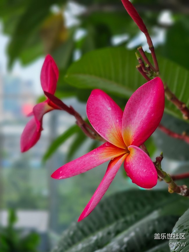 【那年初秋】郁郁蔥蔥 | 綠意盎然