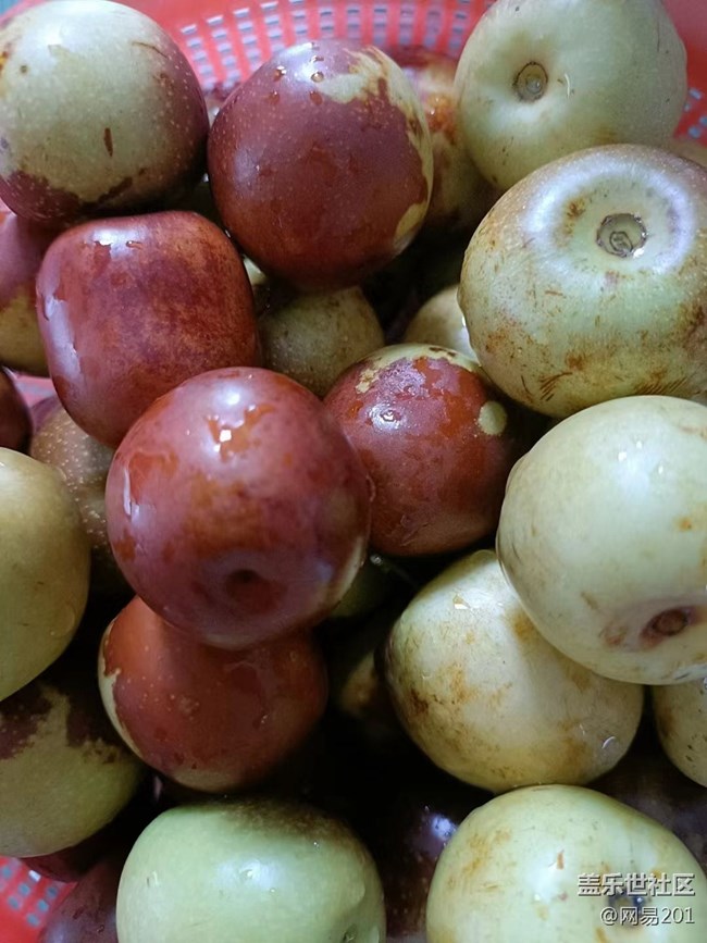 【捕捉夏日美好】水果