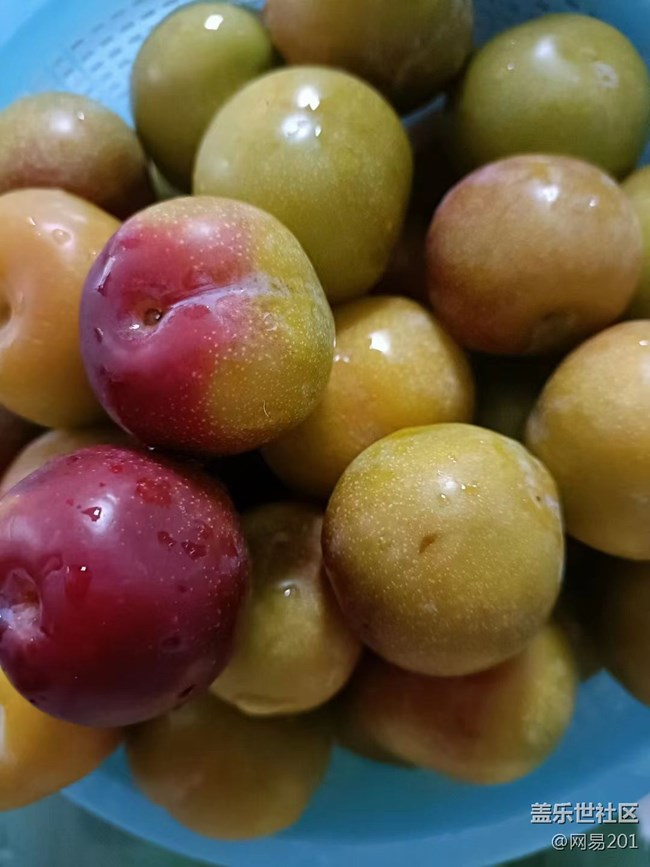 【捕捉夏日美好】水果