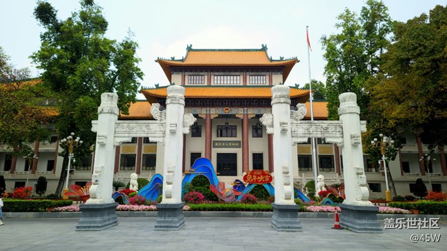 【捕捉夏日美好】夏天公園的快樂和活力