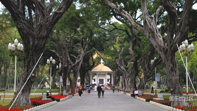 【捕捉夏日美好】夏天公園的快樂和活力