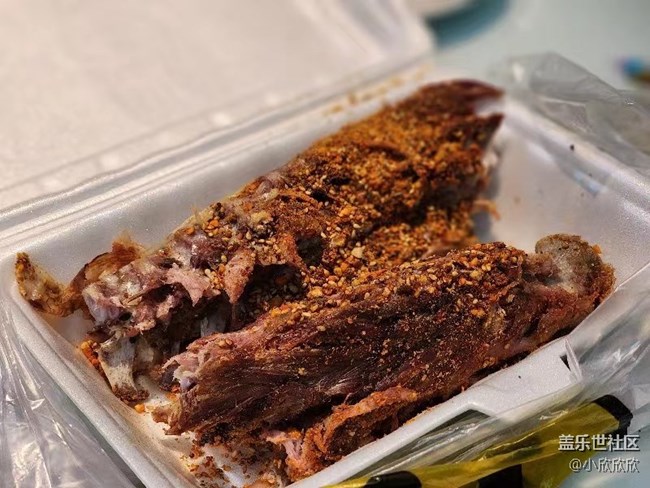 fold5 發(fā)布會品鑒活動