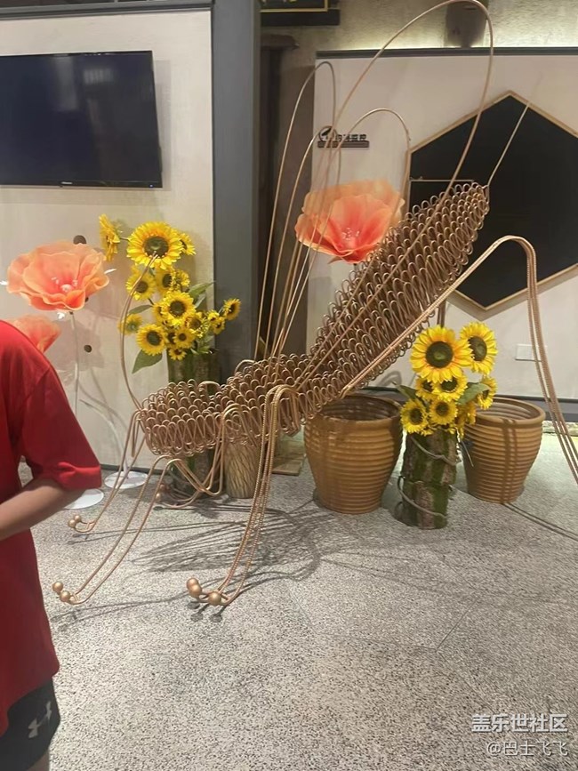 #我喜歡的攝影模式——參觀者模式