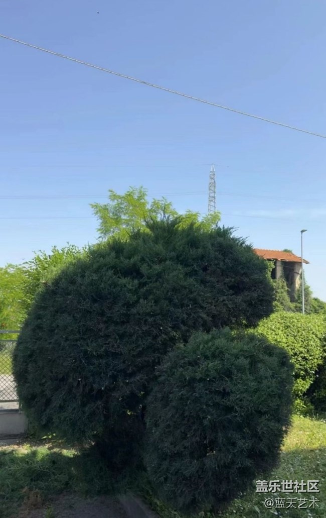 【那年初秋】隨手拍