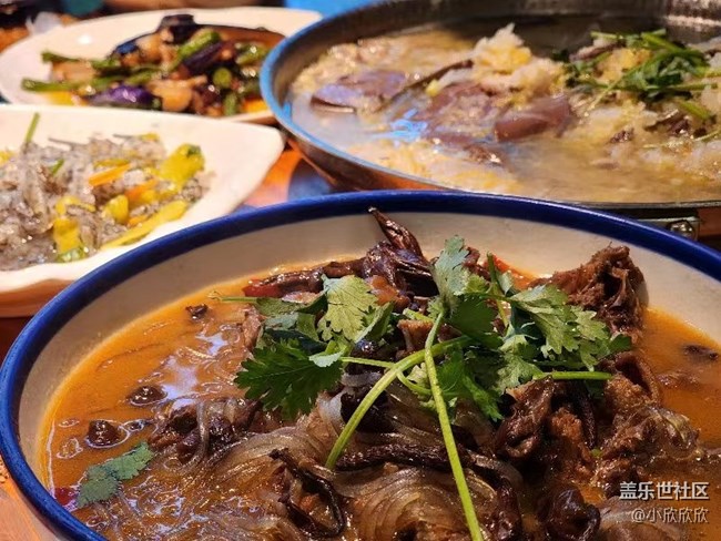 fold5 發(fā)布會品鑒活動