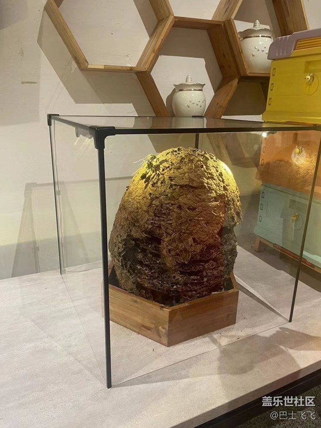 #我喜歡的攝影模式——參觀者模式