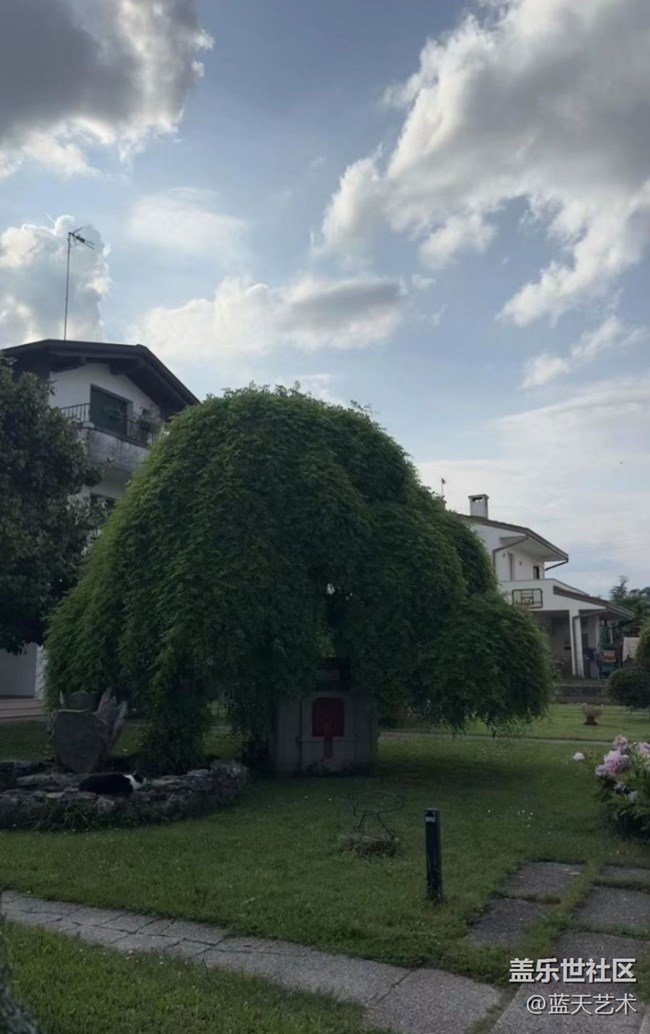 【那年初秋】隨手拍