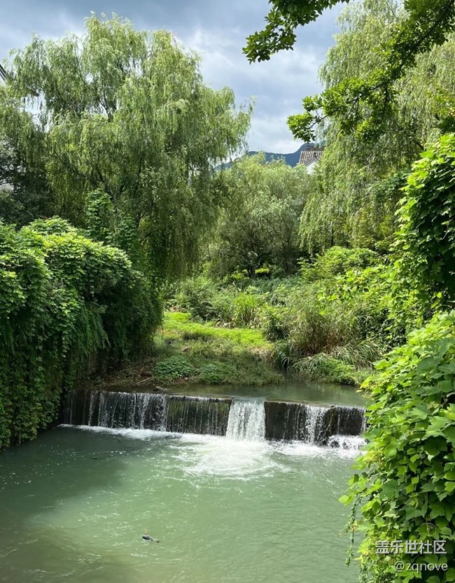 #我喜歡的攝影模式——隨拍模式