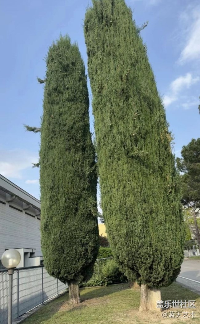 【那年初秋】隨手拍