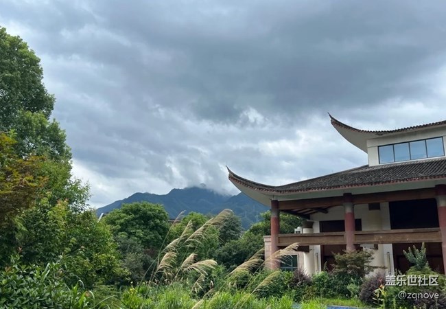 #我喜歡的攝影模式——隨拍模式